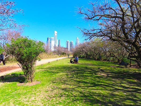 Reserva Ecologica Costanera Sur